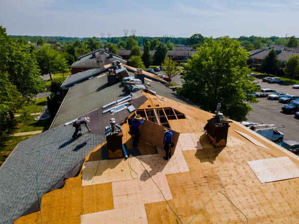 Best Roof Gutter Cleaning  in River Road, WA