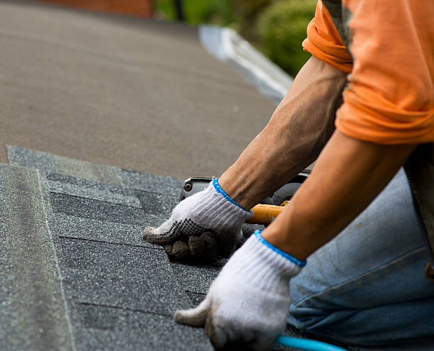 Best Local Roofing Companies  in River Road, WA
